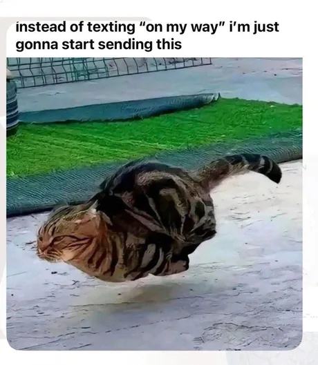 Obrázek instead&nbsp;of&nbsp;texting