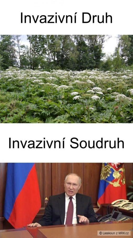 Obrázek invazivni ssoudruh