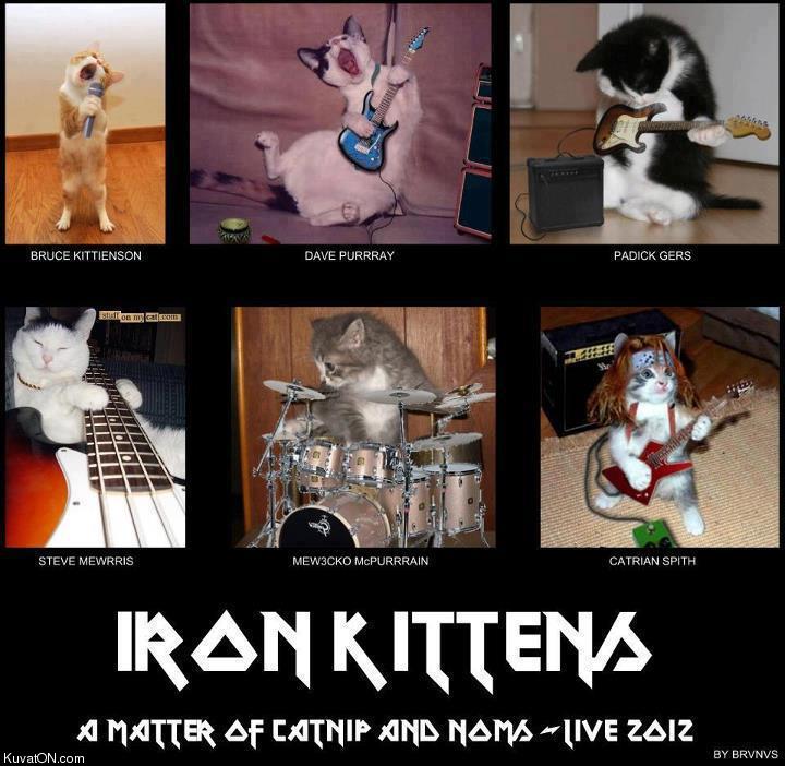 Obrázek iron kittens