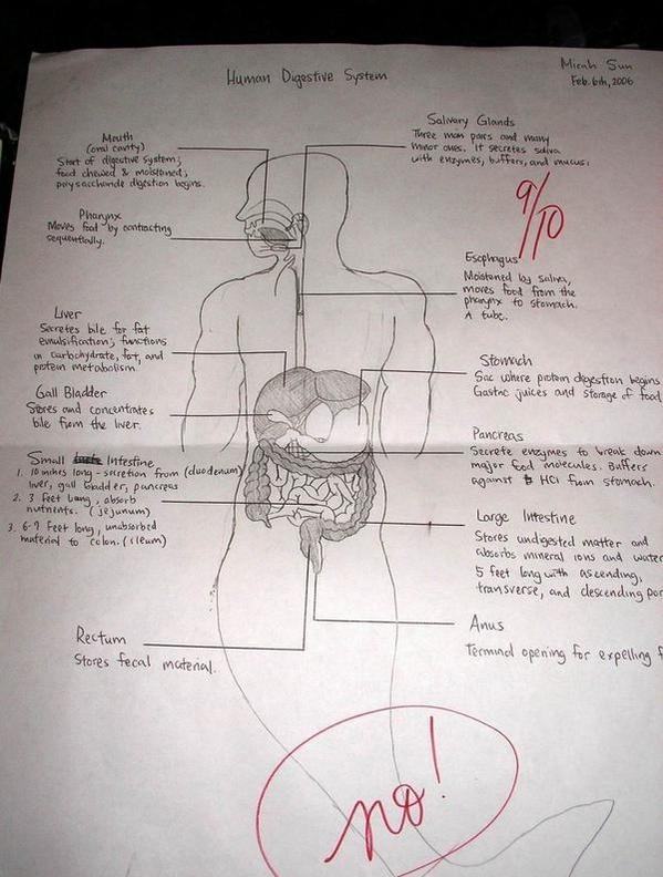 Obrázek is there something wrong miss teacher