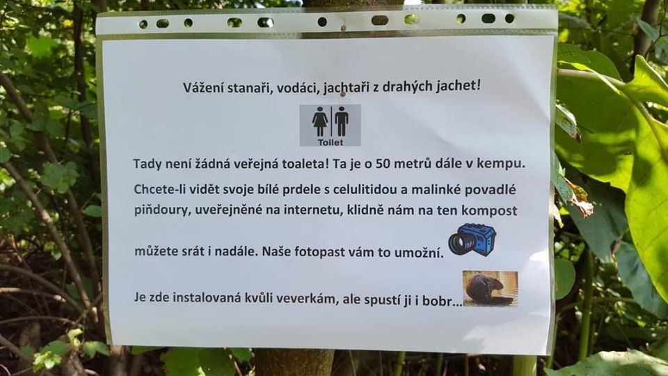 Obrázek jactari moonshine