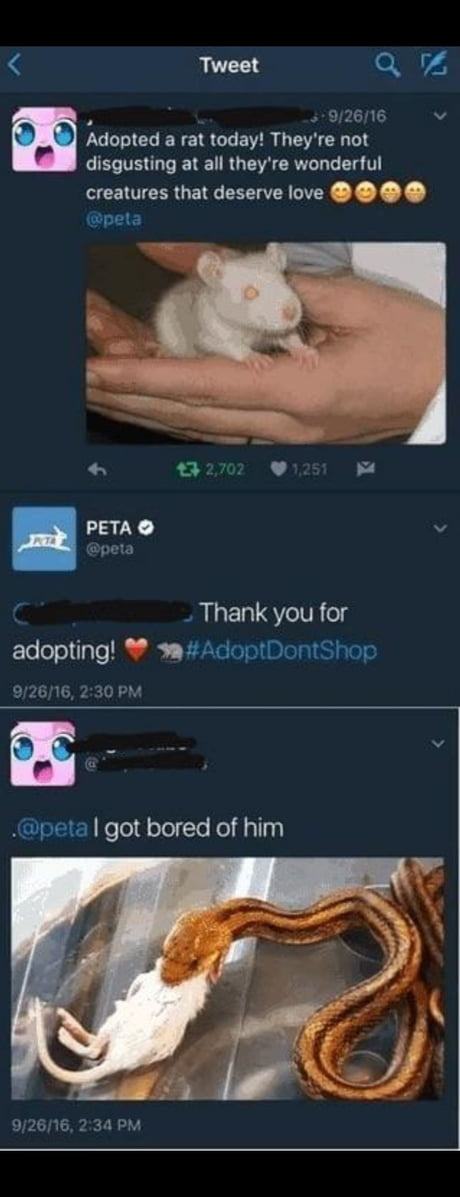 Obrázek jak nastvat PETA