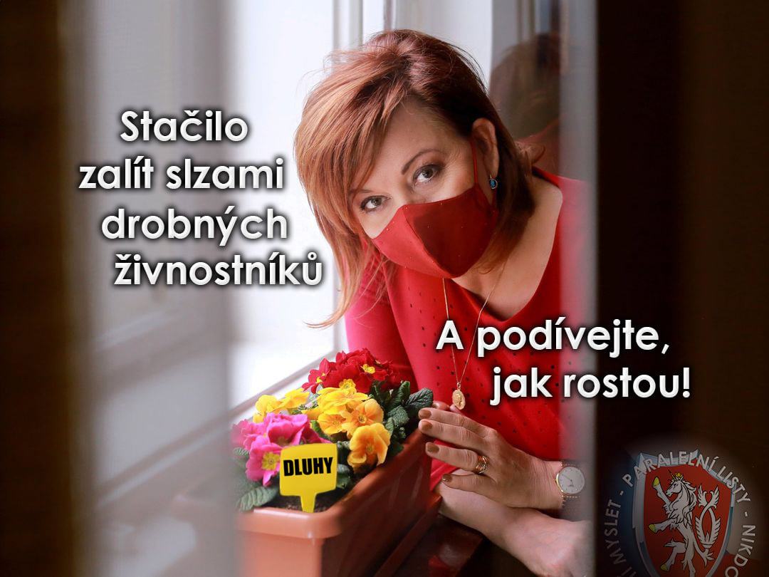 Obrázek jak pekne rostou