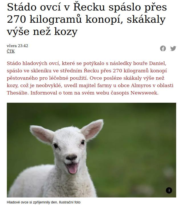 Obrázek jak rozesmat ovce