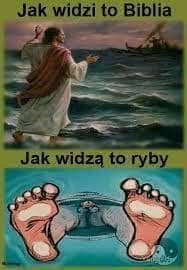 Obrázek jak to vidi bible-jak to vidi ryby