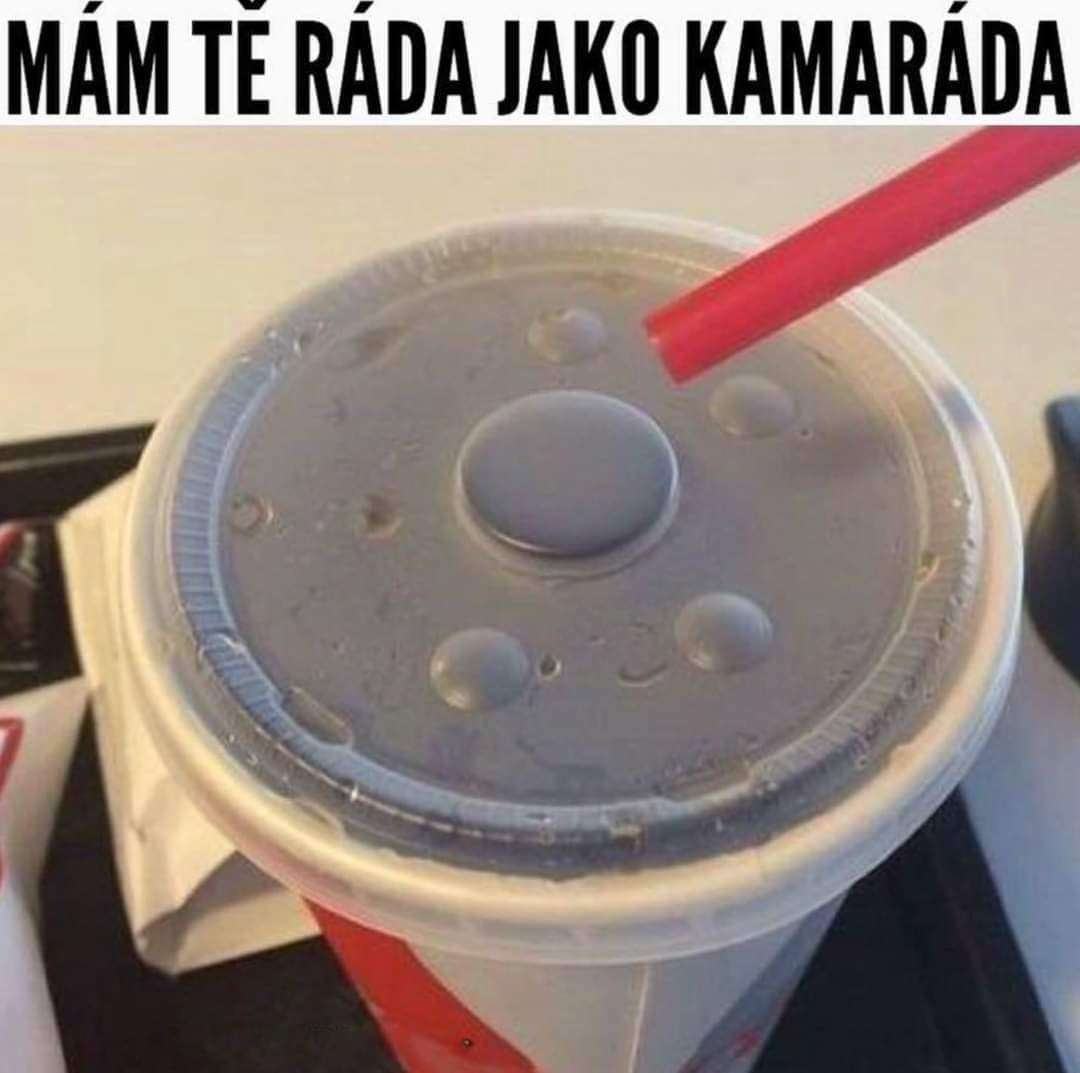Obrázek jako kamarada