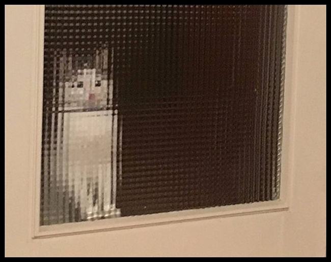 Obrázek japanese pussy 