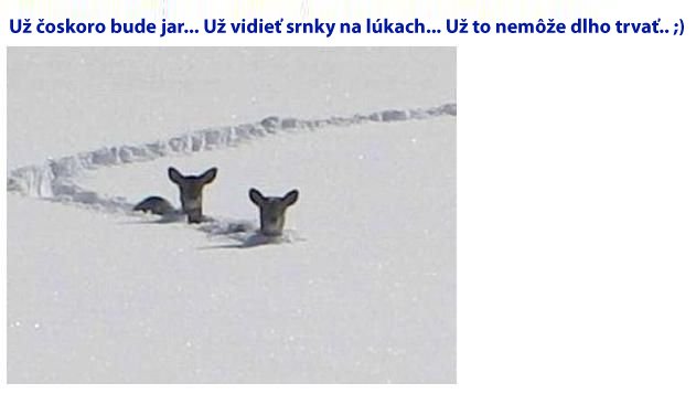 Obrázek jar za dverami