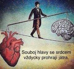 Obrázek jatra v pici
