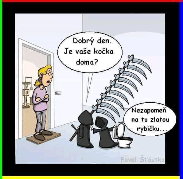 Obrázek je kocka doma