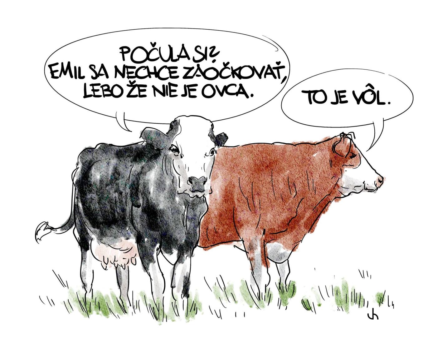 Obrázek je to vol