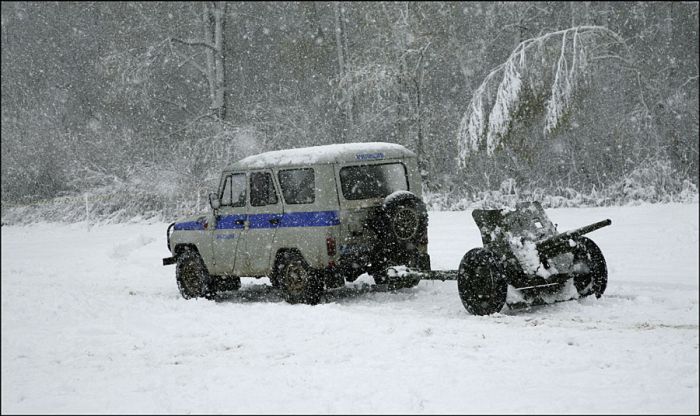 Obrázek jedem na  bazanty