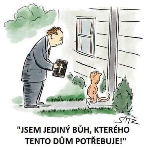 Obrázek jediny buch