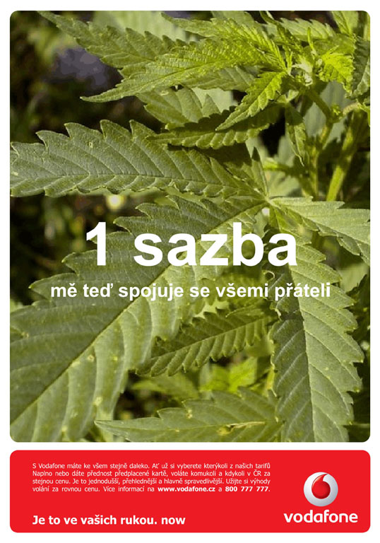 Obrázek jedna sazba