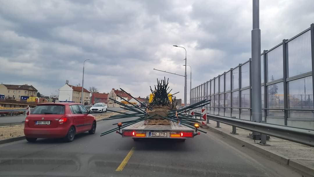 Obrázek jehelnicek na silnici