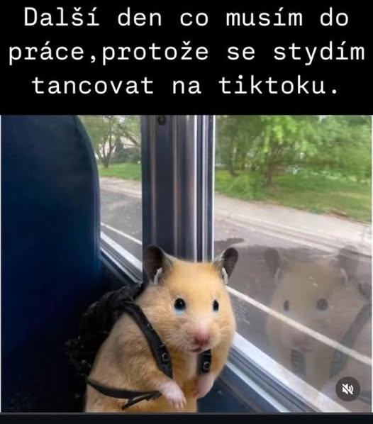 Obrázek jen tvoje chyba