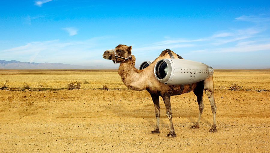 Obrázek jet camel