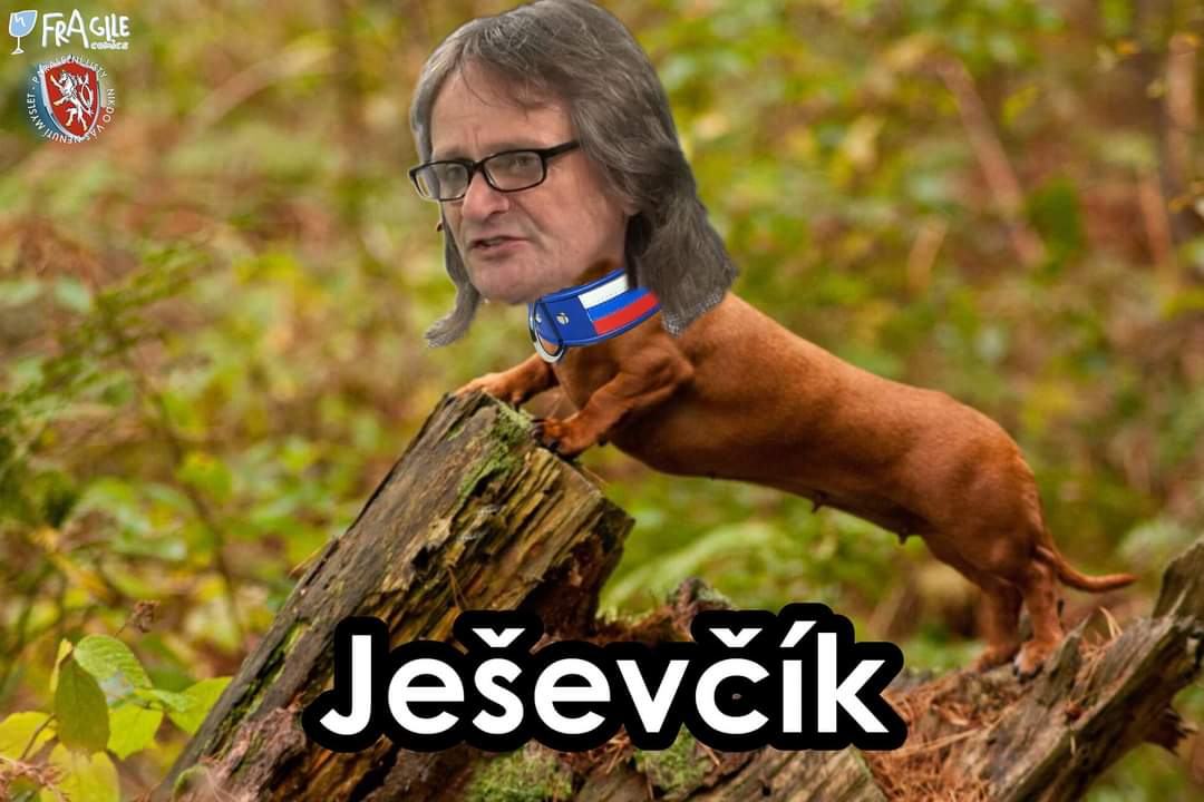 Obrázek jezevsik