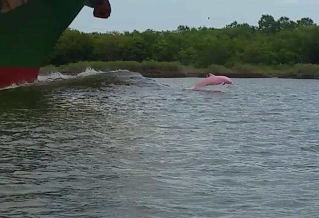 Obrázek jiz kaslu na drogy