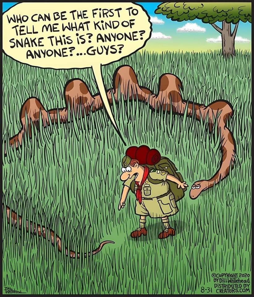 Obrázek join the snake