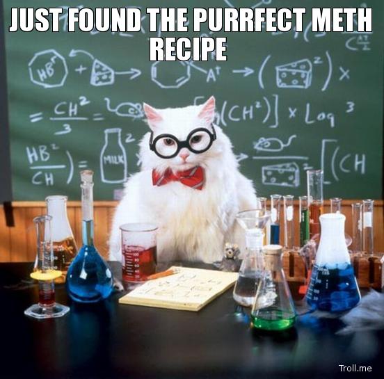 Obrázek just-found-the-purrfect-meth-recipe