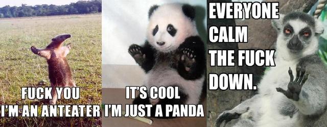 Obrázek just a panda