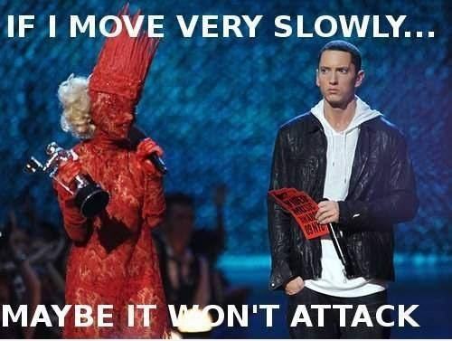 Obrázek just lady gaga