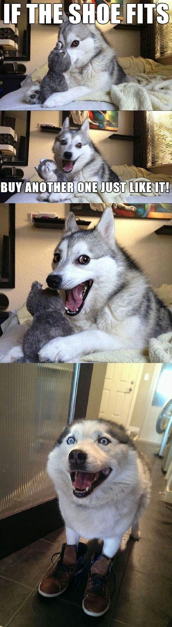 Obrázek just like cinderella