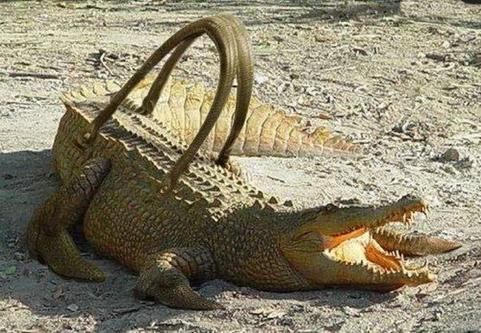 Obrázek kabelka z prave kuze