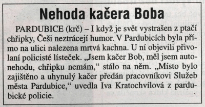 Obrázek kacer BOB