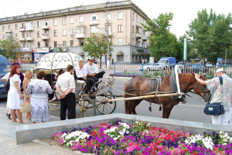 Obrázek kam se podel popelcin kocar