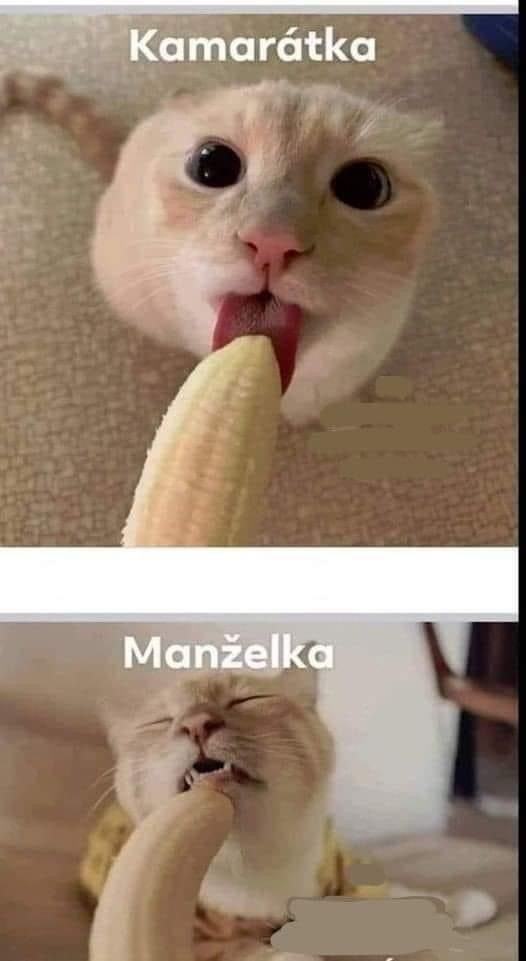 Obrázek kamanzelka