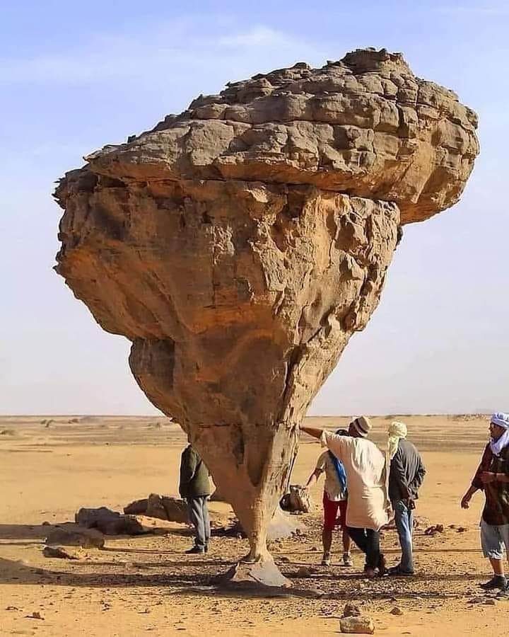 Obrázek kamineksudan