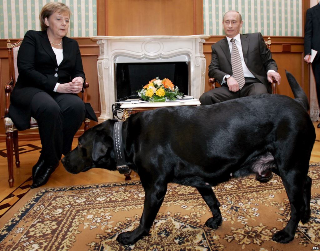 Obrázek kanclerka Merkel je znama strachem ze psu - Putin prijel na navstevu