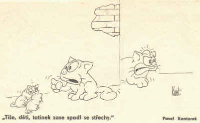Obrázek kant-020