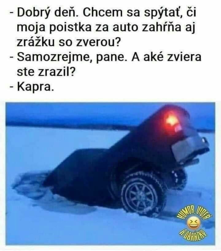 Obrázek kapra