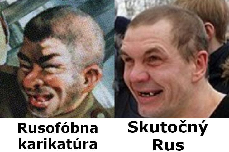 Obrázek karikatura vs realita