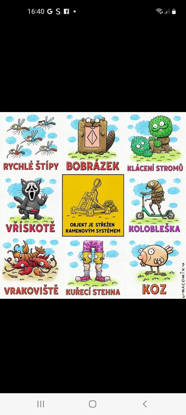 Obrázek katalog jinotaju
