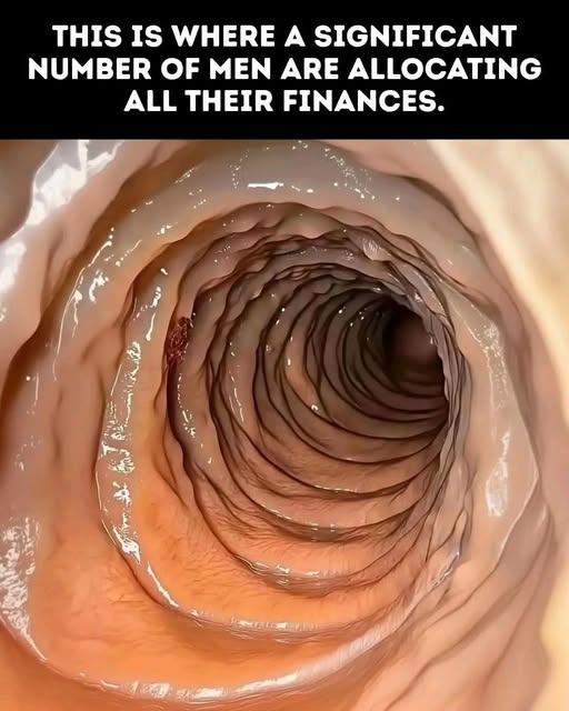 Obrázek kde muzi alokuji vsechny finance