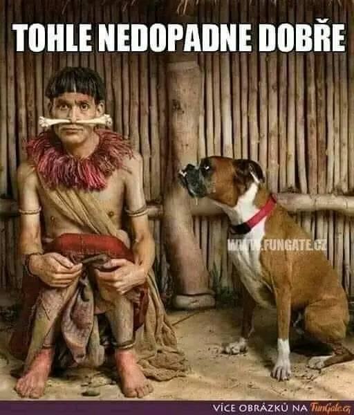 Obrázek kdo kousne koho