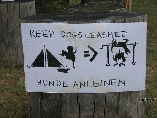 Obrázek keine hunde