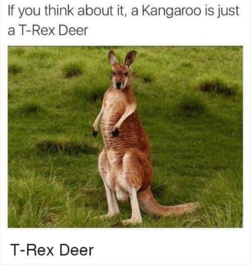 Obrázek kengro