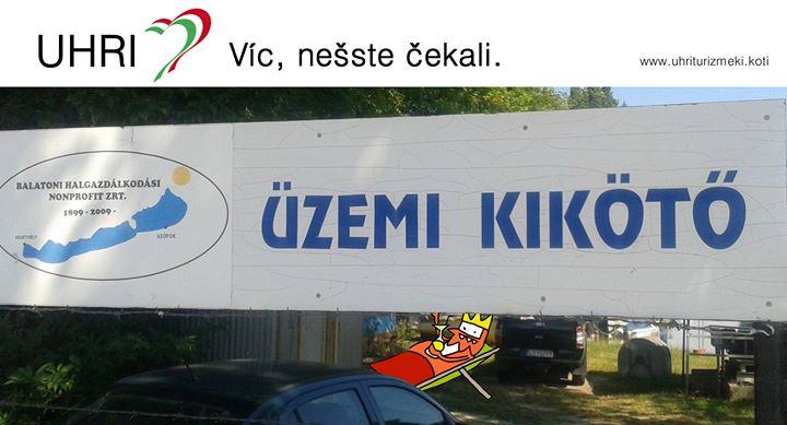 Obrázek kikoti