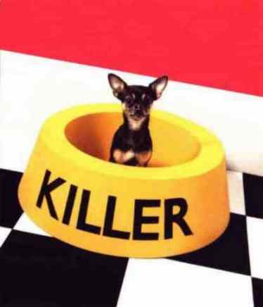 Obrázek killer dog