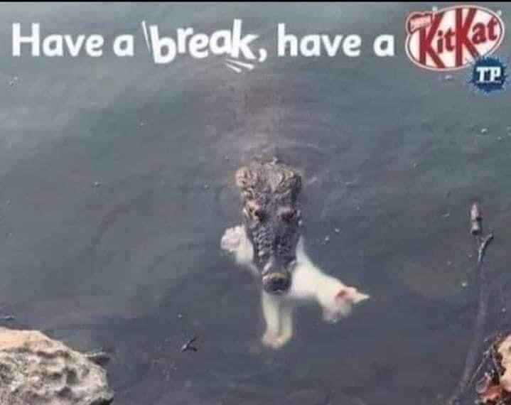Obrázek kitkat