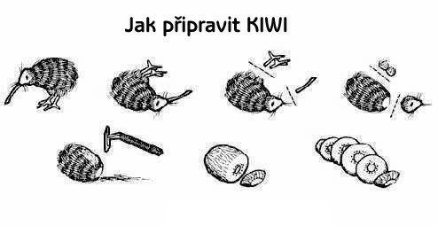 Obrázek kiwi