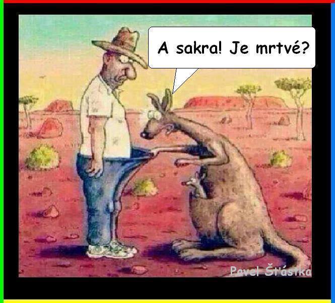 Obrázek klokan a farmar