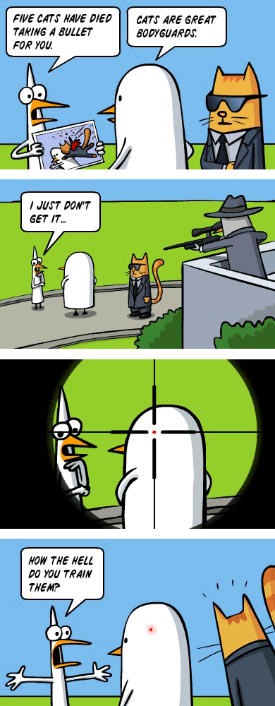 Obrázek kocici bodyguardi
