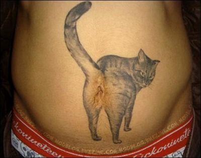 Obrázek kocici tetovani