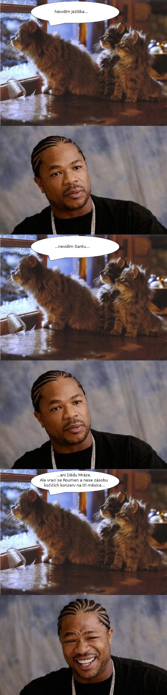 Obrázek kocicky xzibit